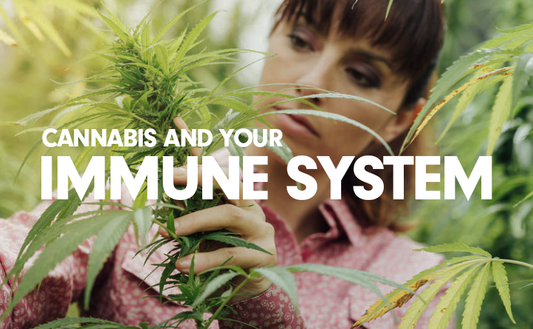 Boost Your Immune System With Cannabis?