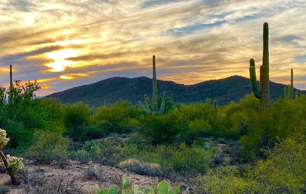 elf bar vape uk How Old Do You Have to Be to Buy Vape In 2024? (By State) main image 0