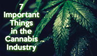 7 Important Things You Should Know About the Cannabis Industry