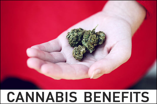 Cannabis Benefits – The Newest Health Trend?