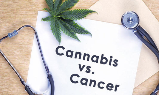 Cannabis Topicals and Cancer - What They Can and Cannot Do