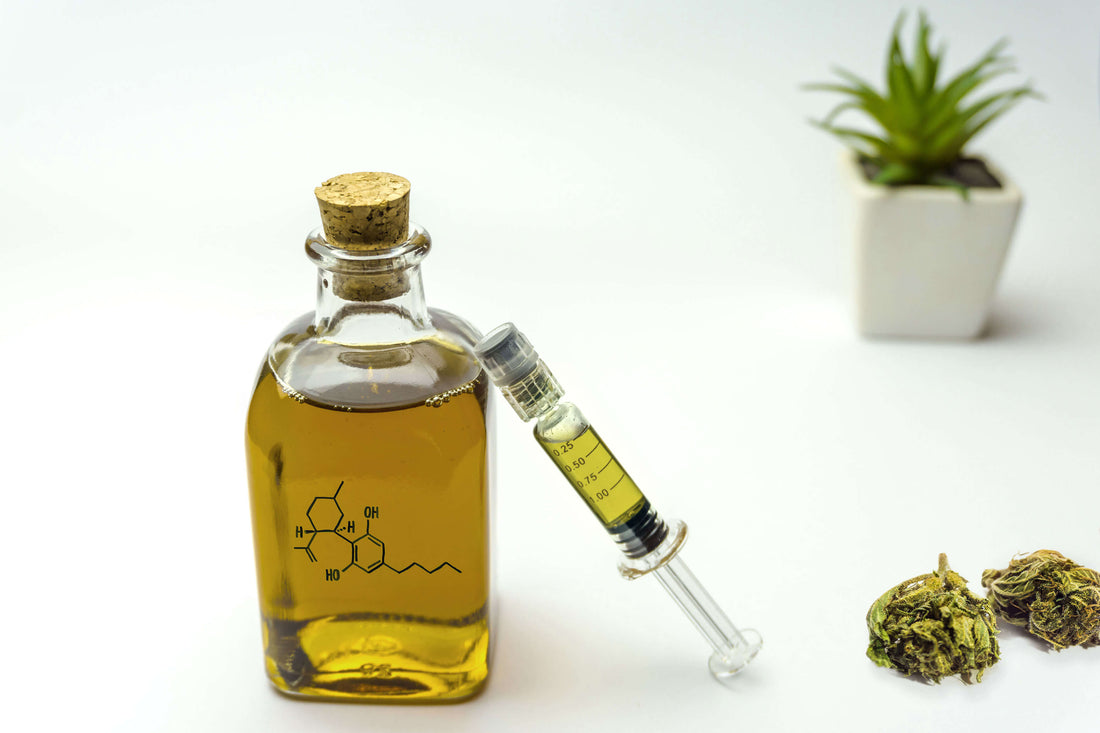 WHAT IS CBD?