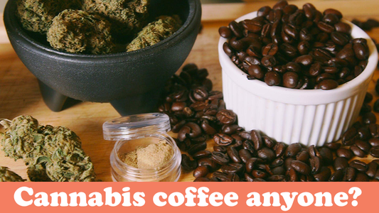 Bean, Bud and the Brain - Cannabis Coffee Anyone?