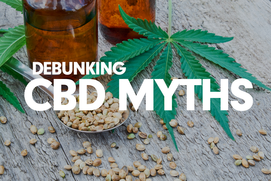 Let's Talk CBD: 6 Myths Debunked