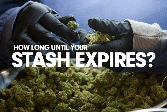 How Long Before Your Stash Goes Bad?