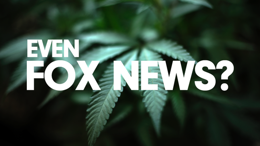 FOX NEWS: Record High Support For Cannabis Legalization