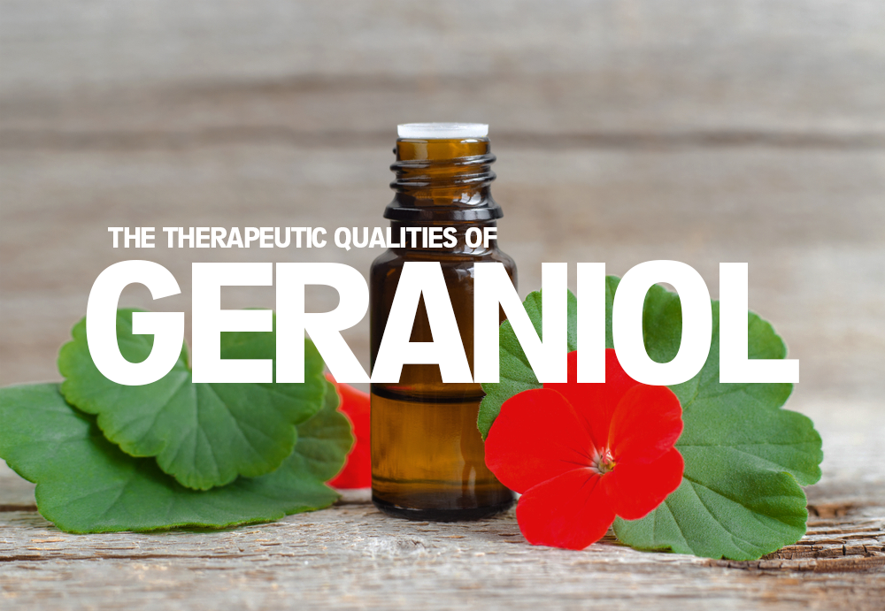 The Terpene Geraniol And It's Therapeutic Properties – Davinci Vaporizer Us