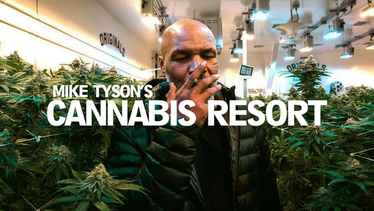 Mike Tyson to Open "Cannabis Resort" in California