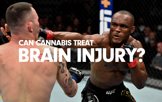 MMA Fighters Participate In Clinical Trial of Cannabis To Treat Brain Injury