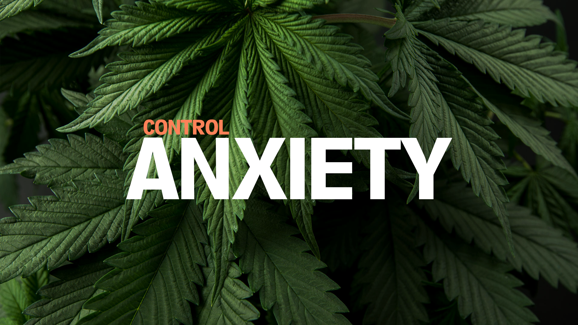 How To Control Your Anxiety With Cannabis – Davinci Vaporizer Us