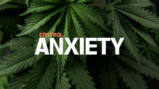 How to Control Your Anxiety with Cannabis