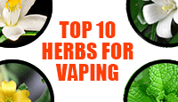 Top 10 Herbs For Herbal Vaping Use