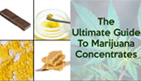 The Ultimate Guide to Marijuana Concentrates: When and How to Use Different Forms of Marijuana