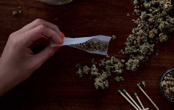 The Different Stages Of Flowering Cannabis