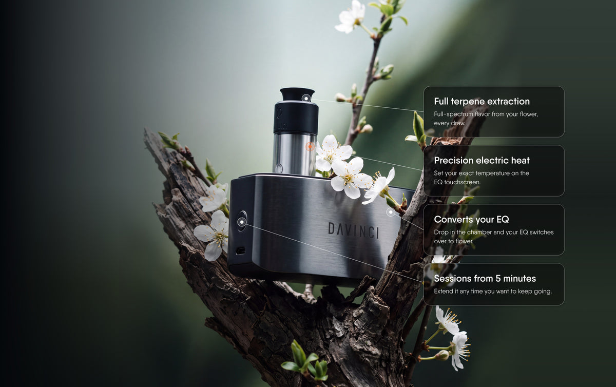 EQ, in flower mode. The EQ Dry Herb Chamber, with full terpene extraction, precision electric heat and sessions from 5 minutes.